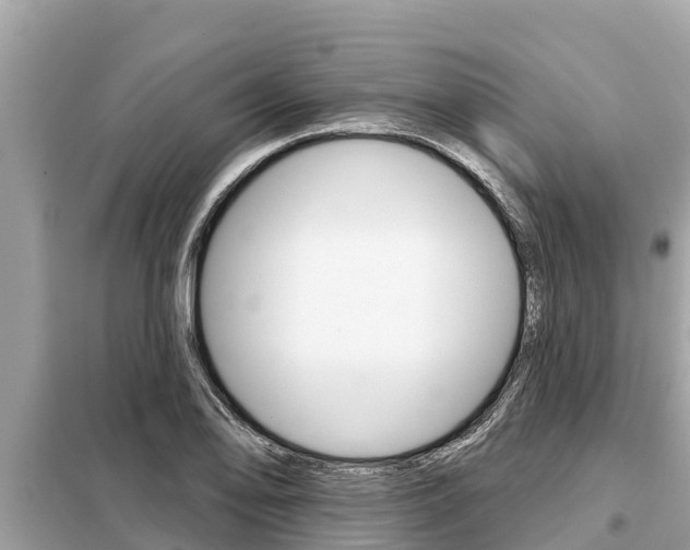X0000099301078200805020751