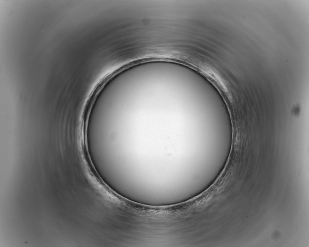 X0000099301080200805020751