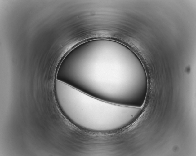 X0000099301081200805020751