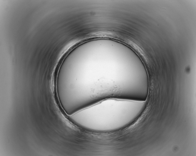 X0000099301082200805020751