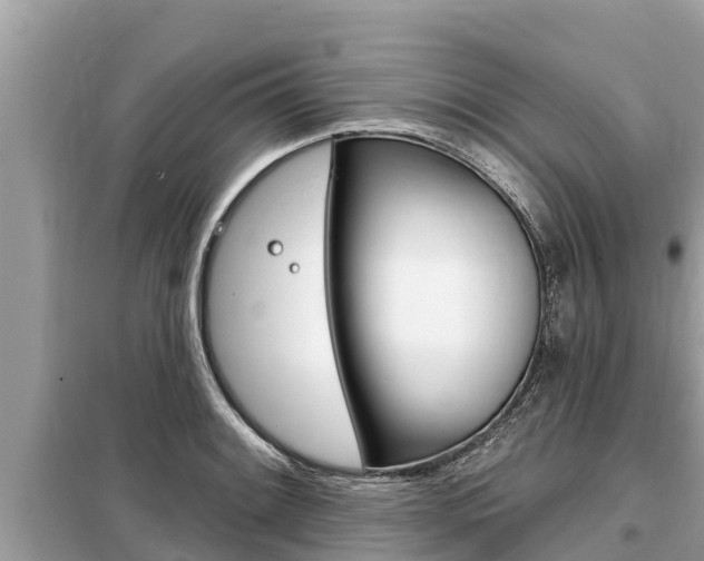 X0000099301084200805020751