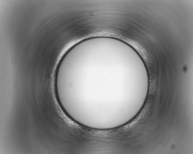X0000099301086200805020751