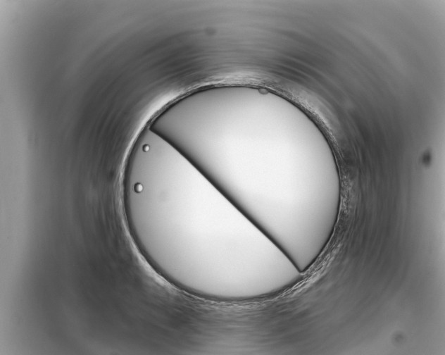 X0000099301087200805020751