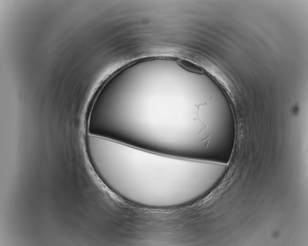 X0000099301088200805020751