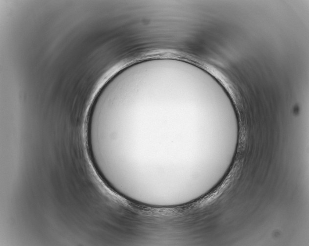 X0000099301090200805020751