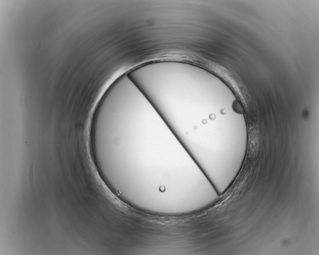 X0000099301091200805020751