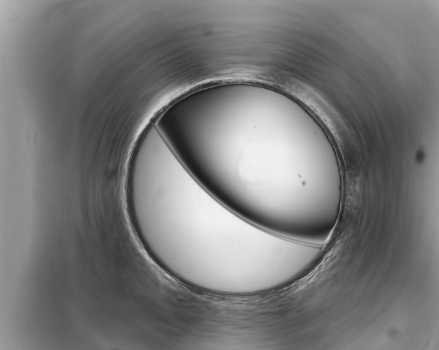 X0000099301093200805020751