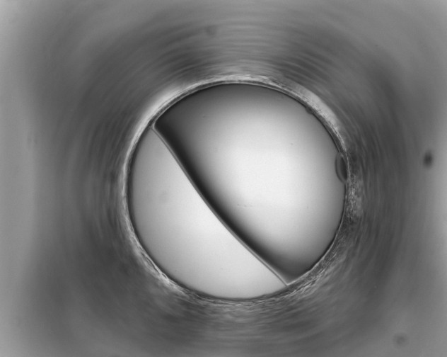 X0000099301096200805020751
