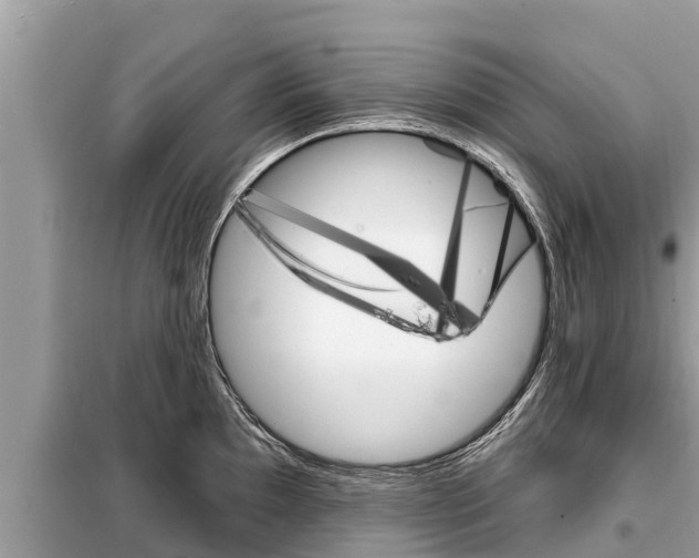 X0000099301097200805020751