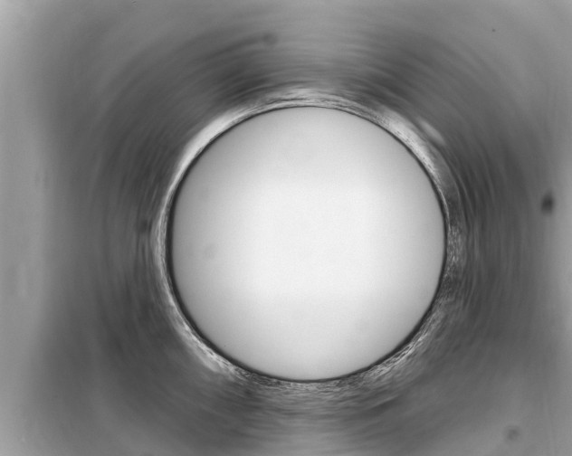 X0000099301098200805020751