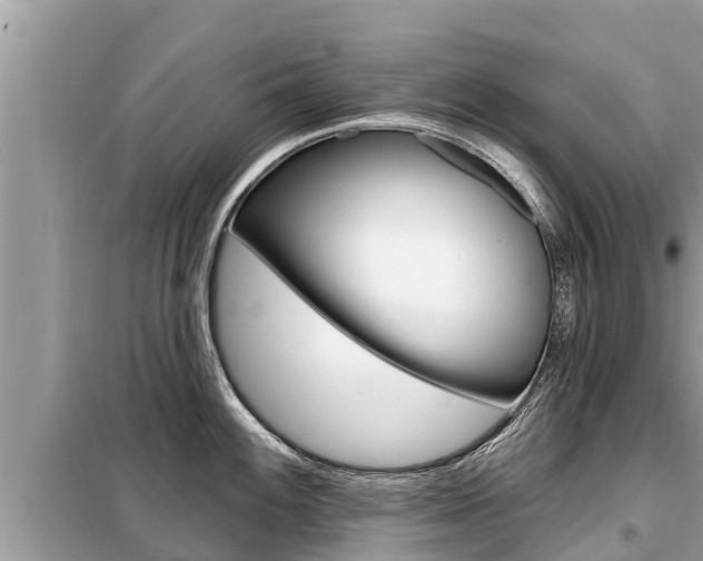 X0000099301100200805020751