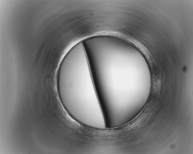 X0000099301102200805020751