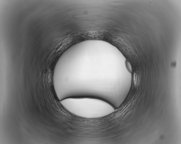 X0000099301107200805020750