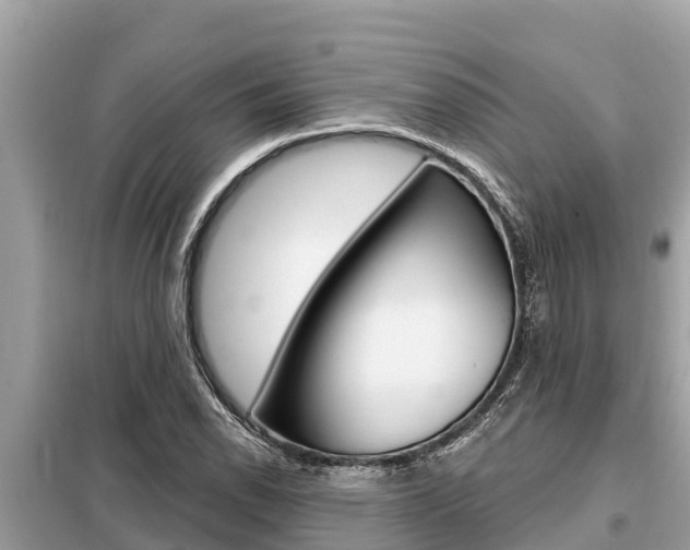 X0000099301118200805020750