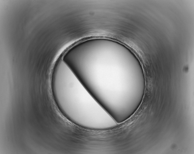 X0000099301120200805020750