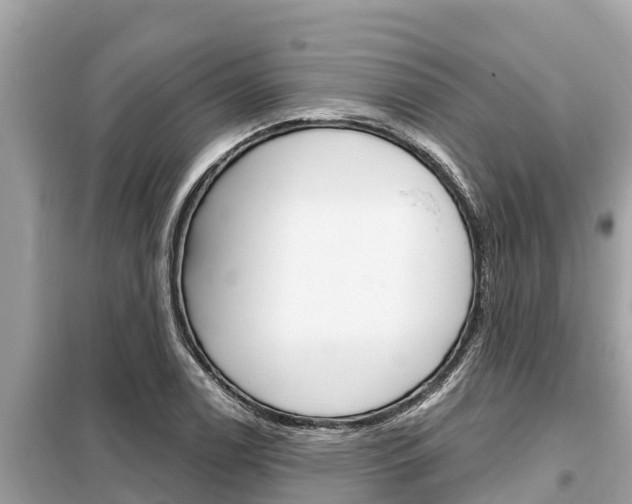 X0000099301122200805020750