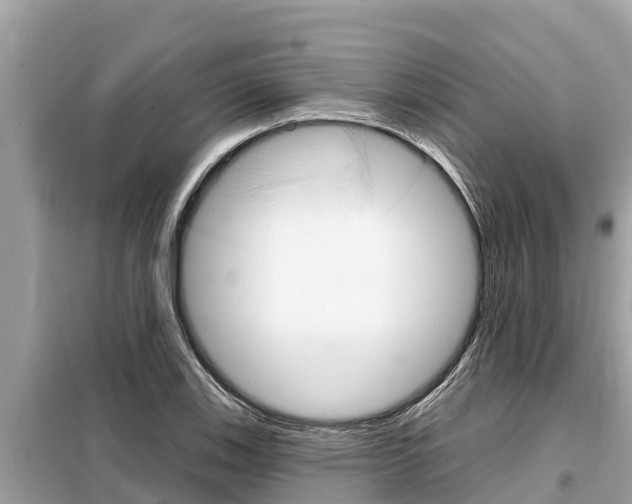 X0000099301123200805020750