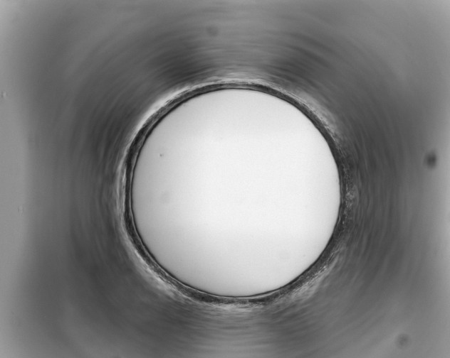 X0000099301126200805020750