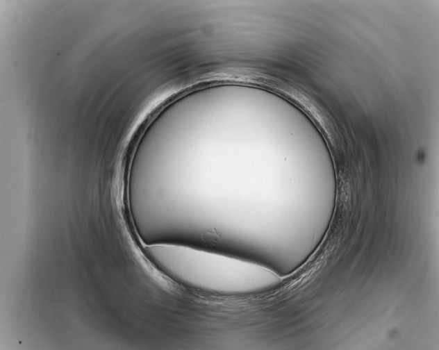 X0000099301131200805020750