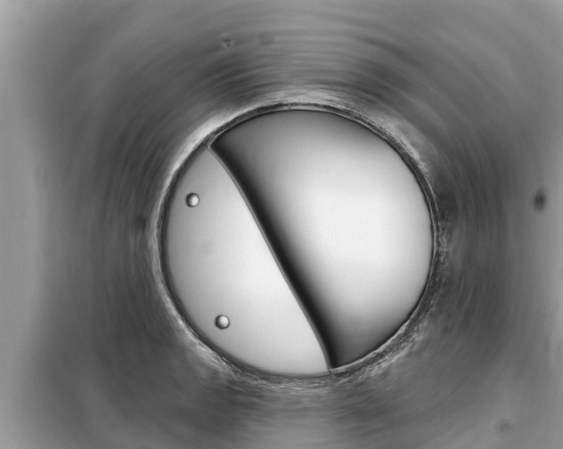 X0000099301133200805020750
