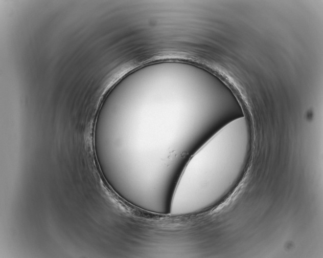 X0000099301137200805020750