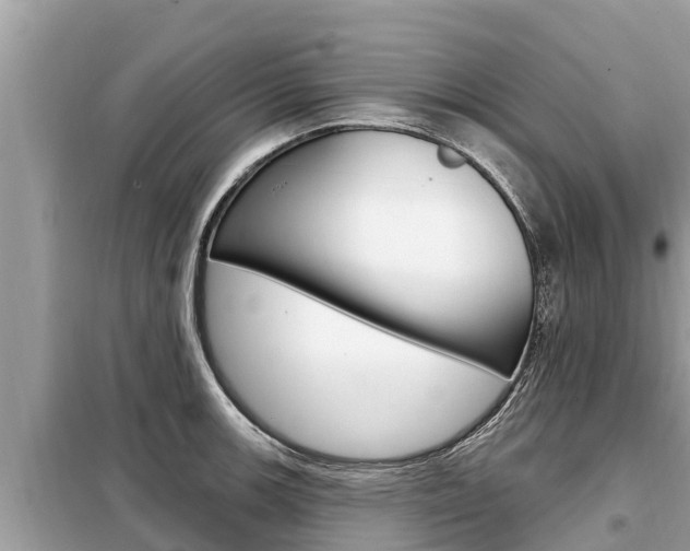 X0000099301139200805020750