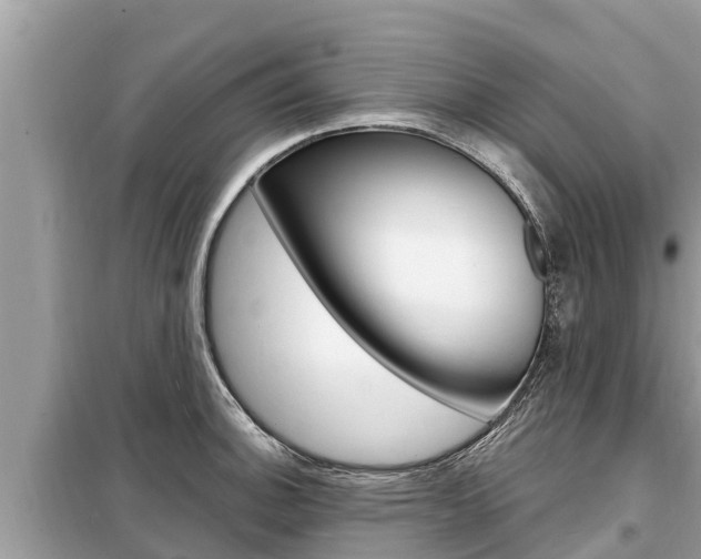 X0000099301140200805020751