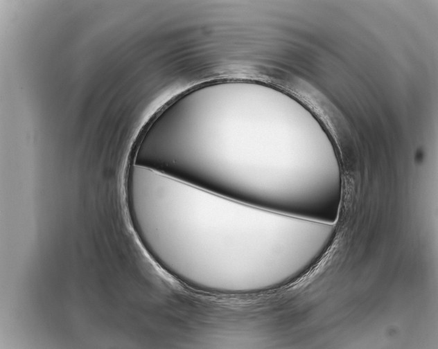 X0000099301141200805020751