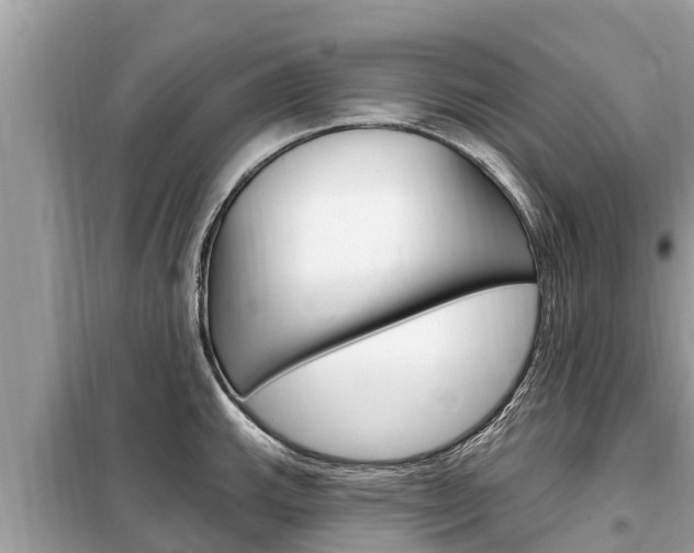 X0000099301143200805020751