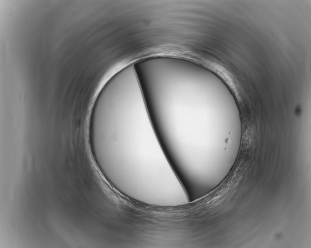 X0000099301146200805020751