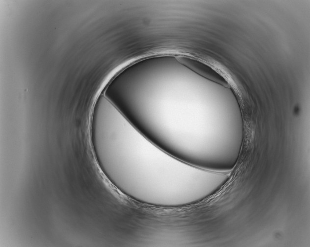X0000099301148200805020751