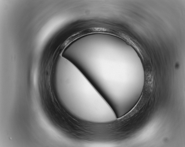 X0000099301151200805020751