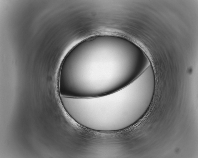 X0000099301152200805020751