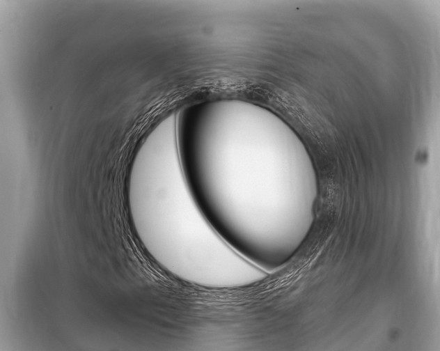 X0000099301153200805020750
