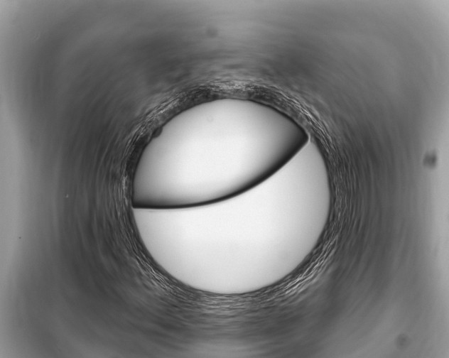 X0000099301156200805020750