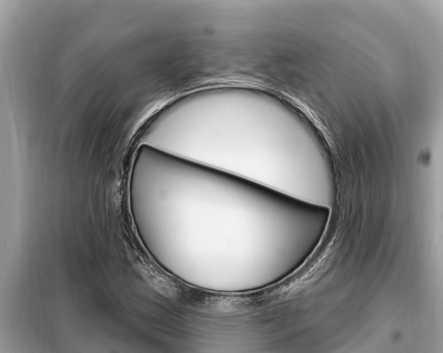 X0000099301163200805020750