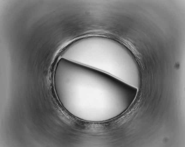 X0000099301164200805020750
