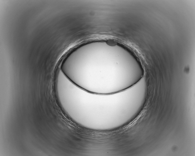X0000099301165200805020749