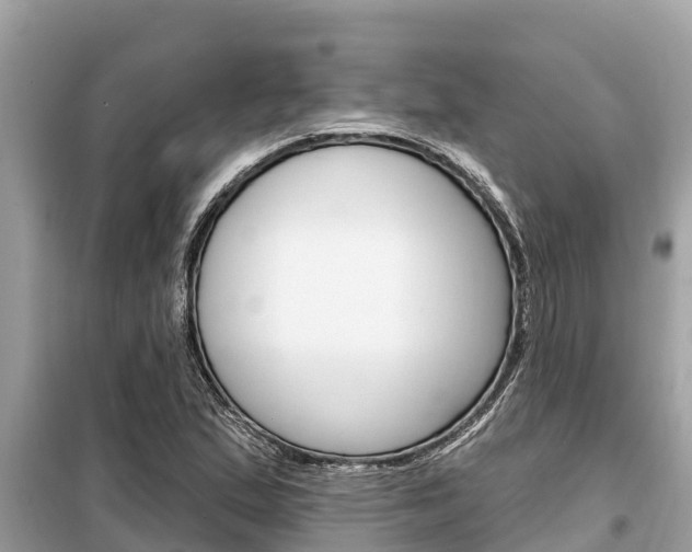 X0000099301167200805020749