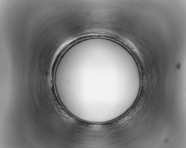 X0000099301172200805020749