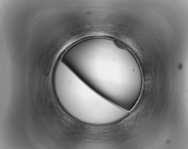 X0000099301173200805020749