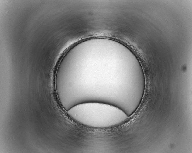 X0000099301174200805020749