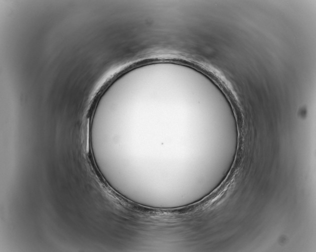 X0000099301175200805020749