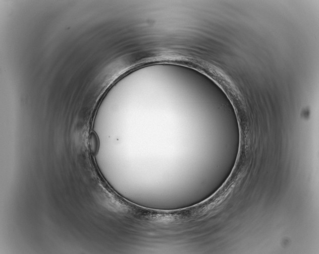 X0000099301177200805020749