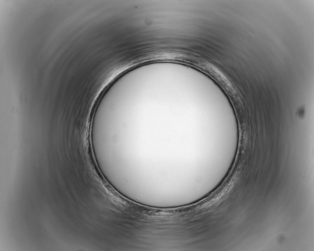 X0000099301178200805020749