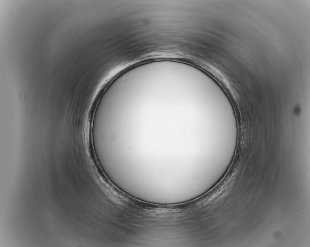 X0000099301179200805020749