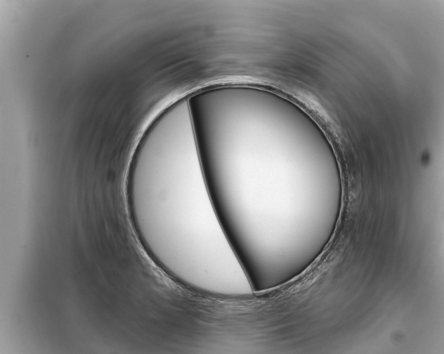 X0000099301181200805020749