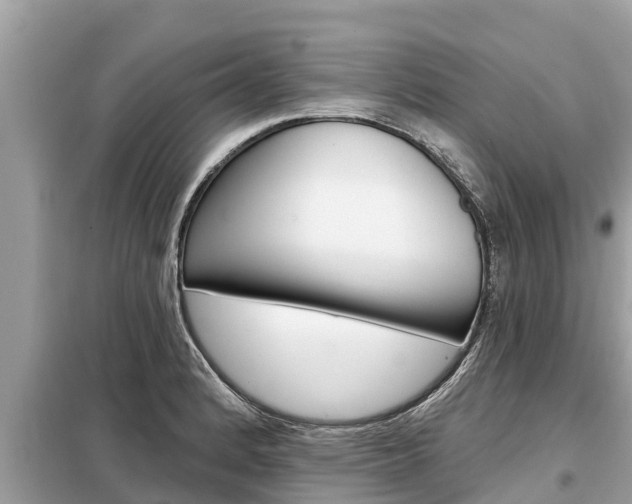 X0000099301184200805020749