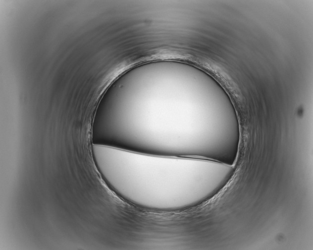 X0000099301185200805020749