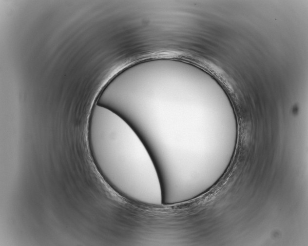 X0000099301186200805020749